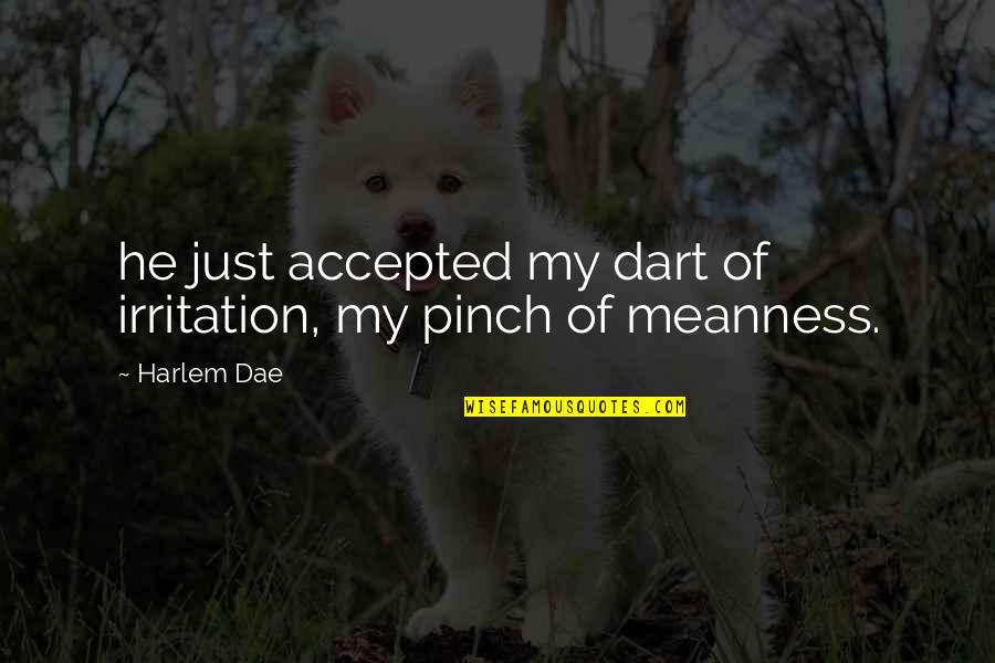 Meanness Quotes By Harlem Dae: he just accepted my dart of irritation, my