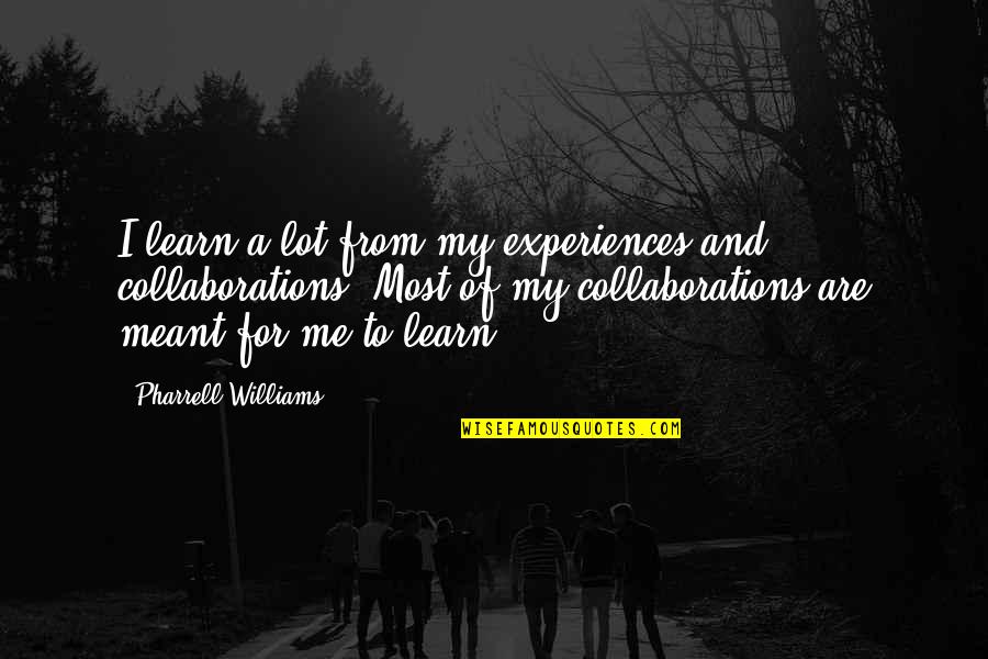 Meant Quotes By Pharrell Williams: I learn a lot from my experiences and Meant Quotes By Pharrell Williams: I learn a lot from my experiences and