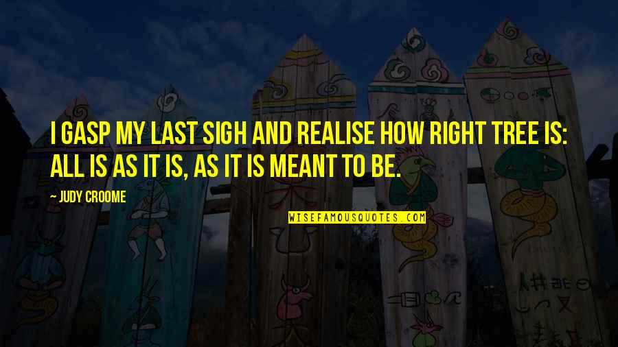 Meant To Be Inspirational Quotes By Judy Croome: I gasp my last sigh and realise how