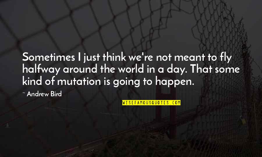 Meant To Happen Quotes By Andrew Bird: Sometimes I just think we're not meant to