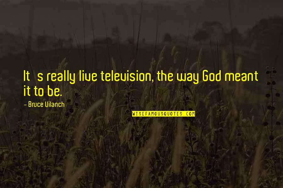 Meant To Live Quotes By Bruce Vilanch: It's really live television, the way God meant