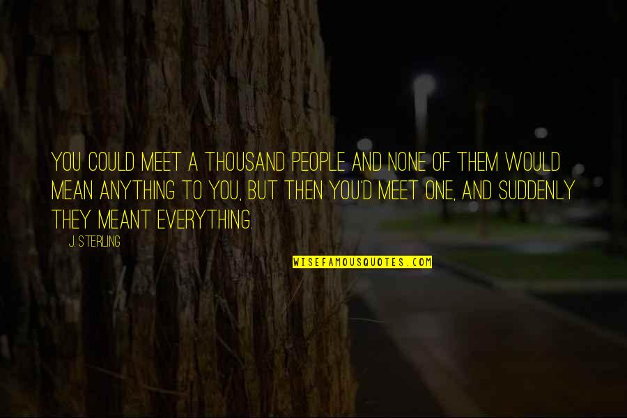 Meant To Meet Quotes By J. Sterling: You could meet a thousand people and none
