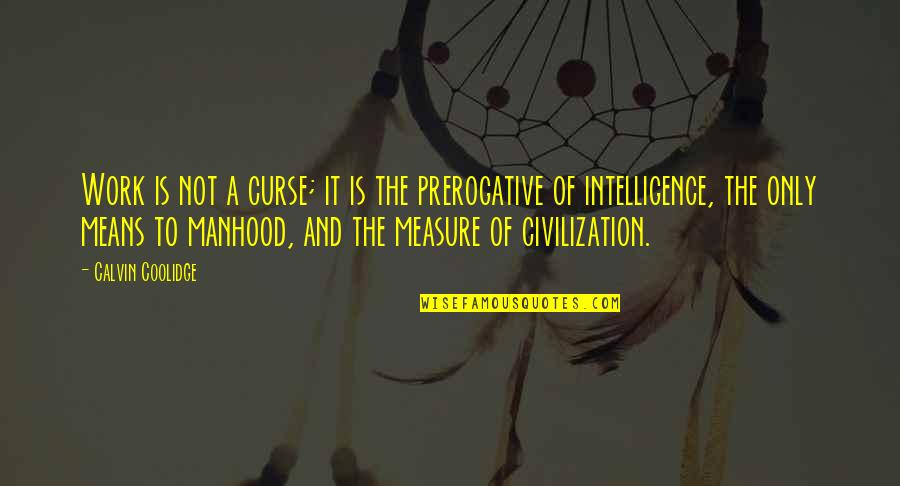 Measure Of Intelligence Quotes By Calvin Coolidge: Work is not a curse; it is the