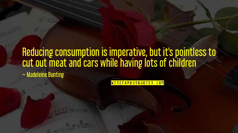 Meat Consumption Quotes By Madeleine Bunting: Reducing consumption is imperative, but it's pointless to