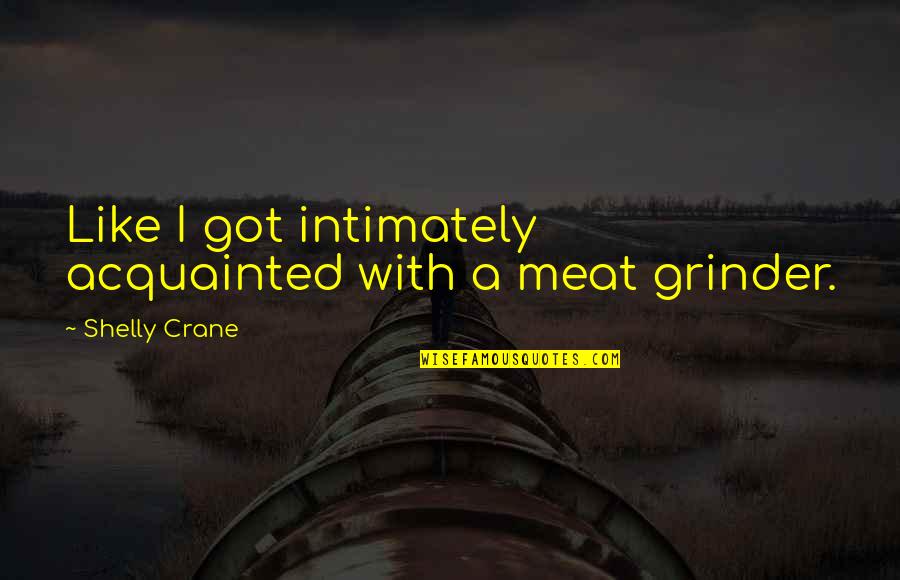 Meat Grinder Quotes By Shelly Crane: Like I got intimately acquainted with a meat