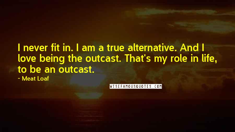 Meat Loaf quotes: I never fit in. I am a true alternative. And I love being the outcast. That's my role in life, to be an outcast. Meat Loaf quotes: I never fit in. I am a true alternative. And I love being the outcast. That's my role in life, to be an outcast.