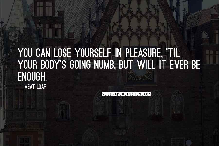 Meat Loaf quotes: You can lose yourself in pleasure, 'til your body's going numb, but will it ever be enough.