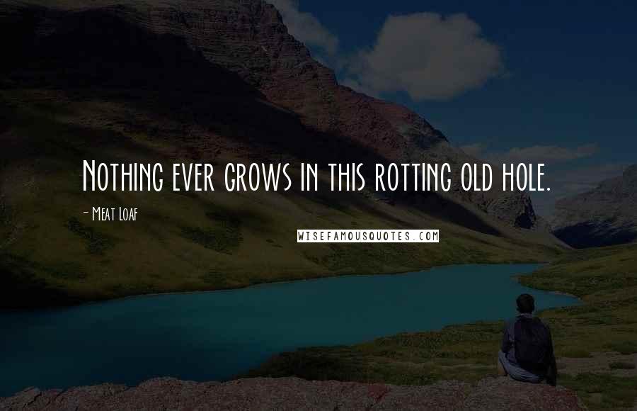 Meat Loaf quotes: Nothing ever grows in this rotting old hole.