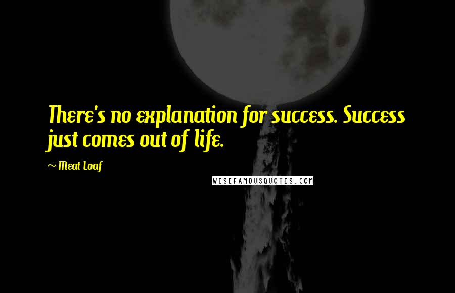 Meat Loaf quotes: There's no explanation for success. Success just comes out of life.