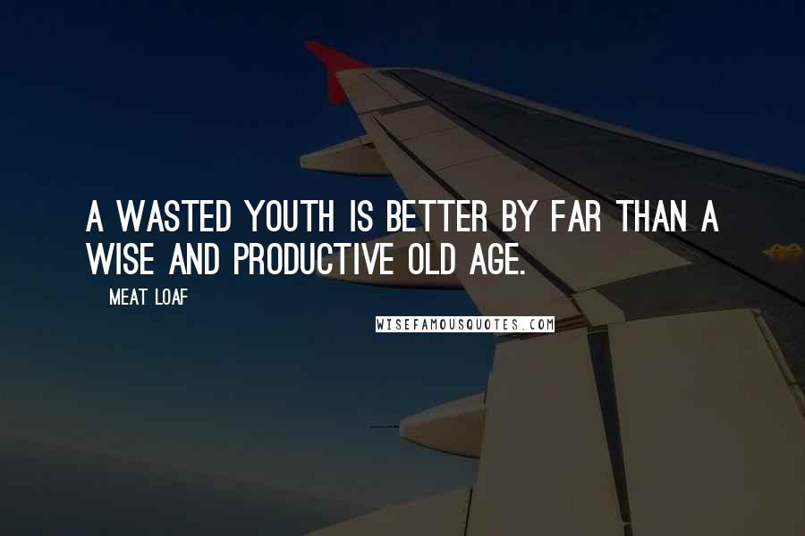 Meat Loaf quotes: A wasted youth is better by far than a wise and productive old age.