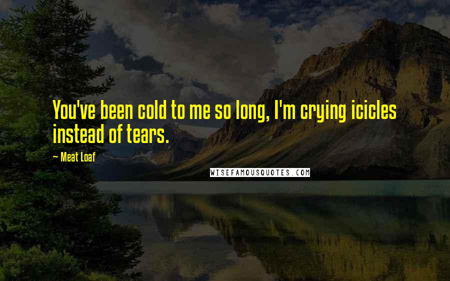 Meat Loaf quotes: You've been cold to me so long, I'm crying icicles instead of tears.
