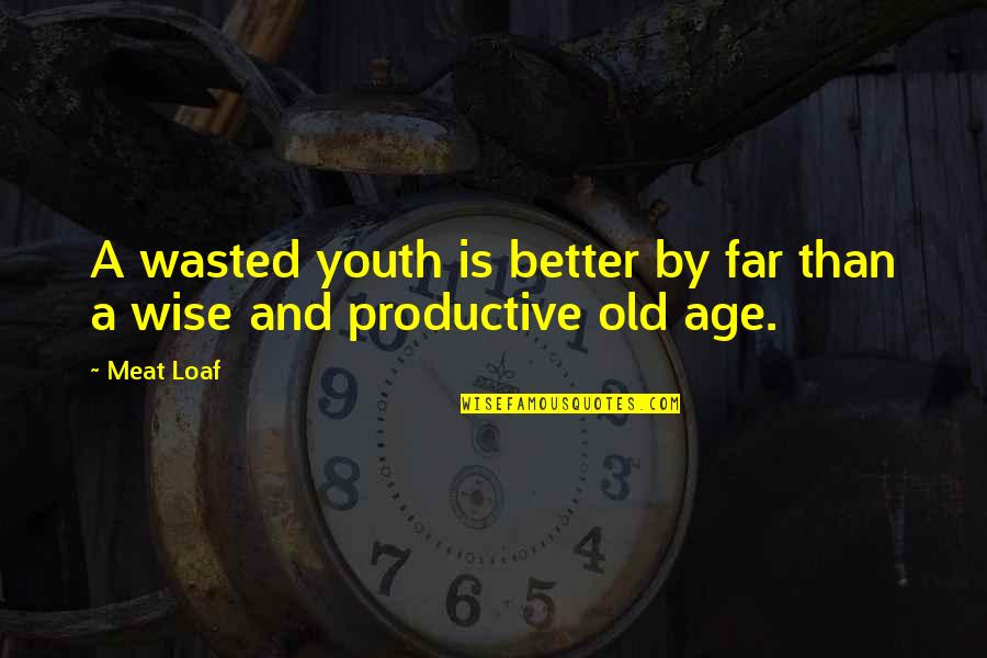 Meat Quotes By Meat Loaf: A wasted youth is better by far than