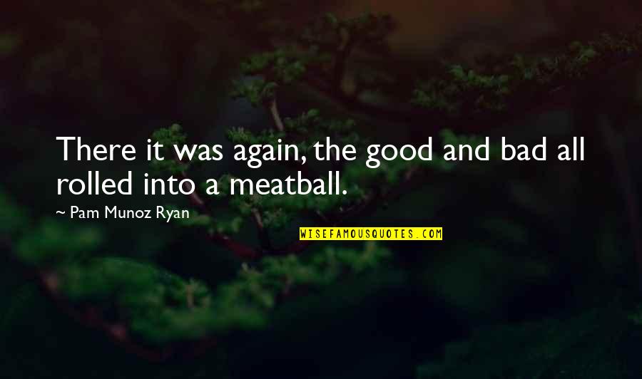 Meatball Quotes By Pam Munoz Ryan: There it was again, the good and bad
