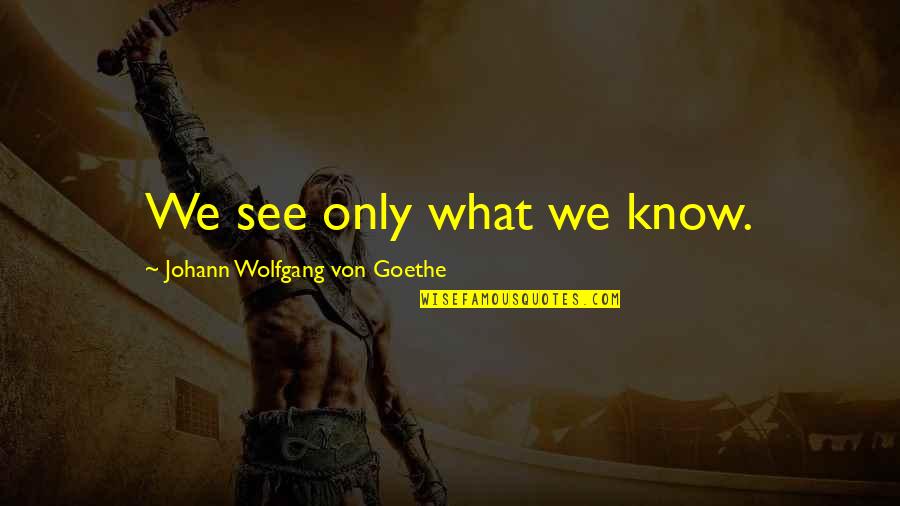 Meatless Spaghetti Quotes By Johann Wolfgang Von Goethe: We see only what we know.