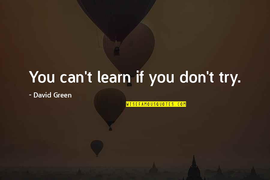 Mecanicas Quotes By David Green: You can't learn if you don't try. Mecanicas Quotes By David Green: You can't learn if you don't try.