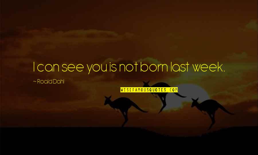 Mecca Motivational Quotes By Roald Dahl: I can see you is not born last Mecca Motivational Quotes By Roald Dahl: I can see you is not born last