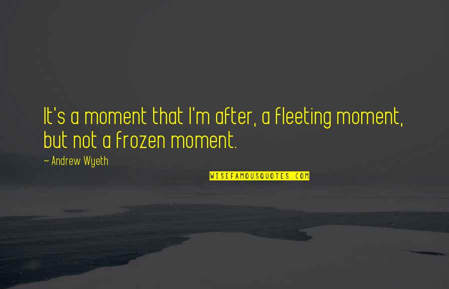 Mecca Soft Quotes By Andrew Wyeth: It's a moment that I'm after, a fleeting