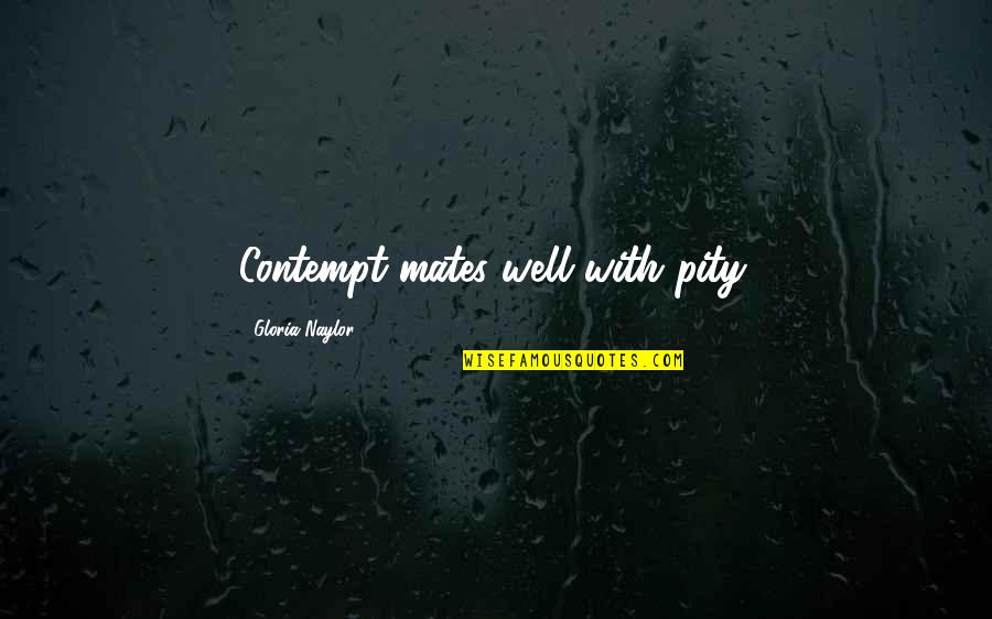 Meccanicismo Quotes By Gloria Naylor: Contempt mates well with pity.