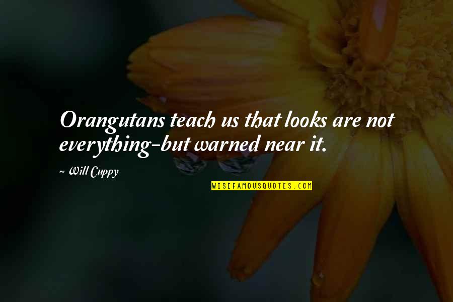 Mechatronics Solenoids Quotes By Will Cuppy: Orangutans teach us that looks are not everything-but