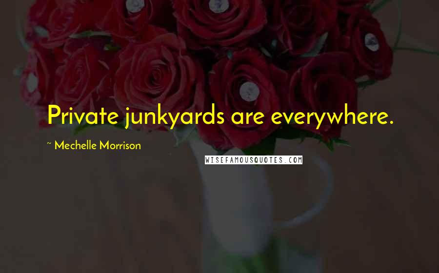 Mechelle Morrison quotes: Private junkyards are everywhere.