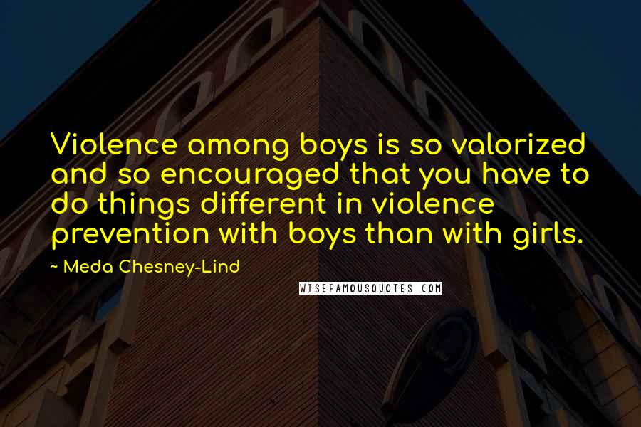 Meda Chesney-Lind quotes: Violence among boys is so valorized and so encouraged that you have to do things different in violence prevention with boys than with girls.