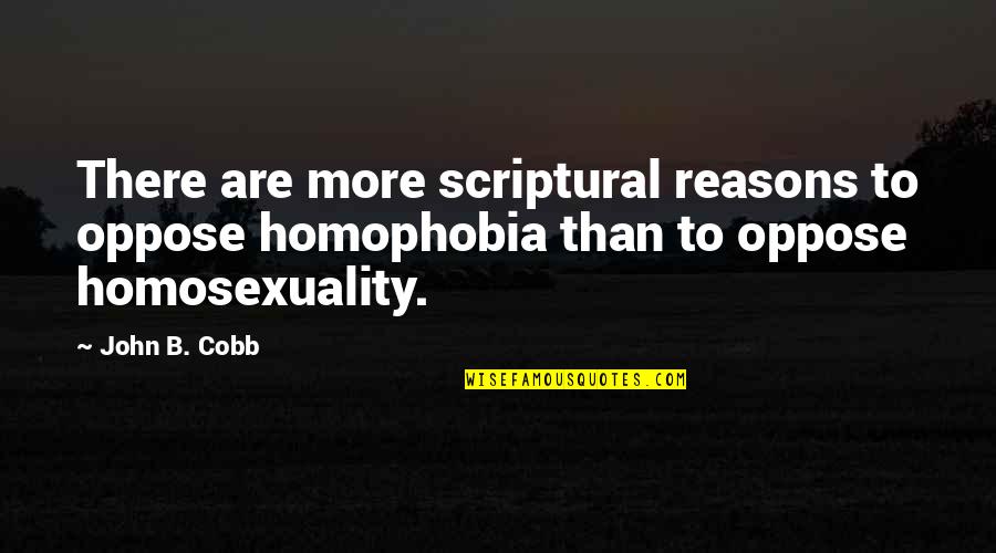 Medallas Catolicas Quotes By John B. Cobb: There are more scriptural reasons to oppose homophobia