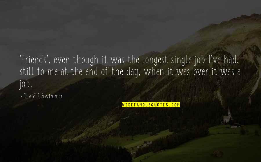 Meddocks Quotes By David Schwimmer: 'Friends', even though it was the longest single Meddocks Quotes By David Schwimmer: 'Friends', even though it was the longest single