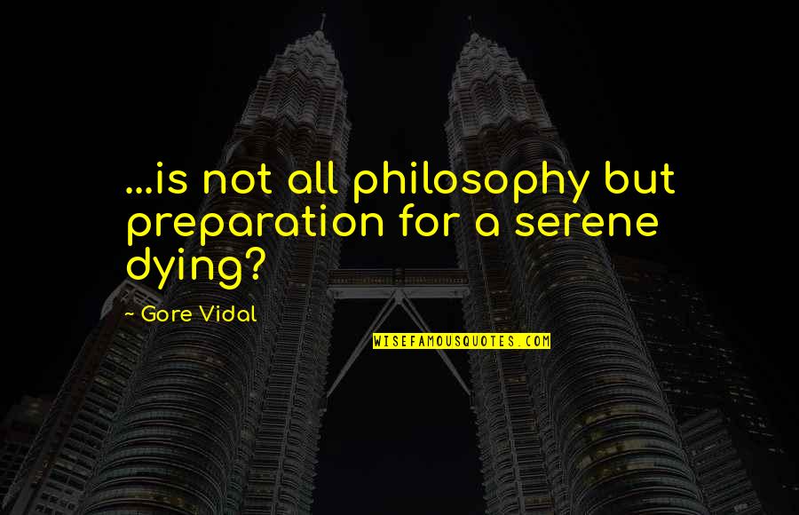 Medebra Quotes By Gore Vidal: ...is not all philosophy but preparation for a