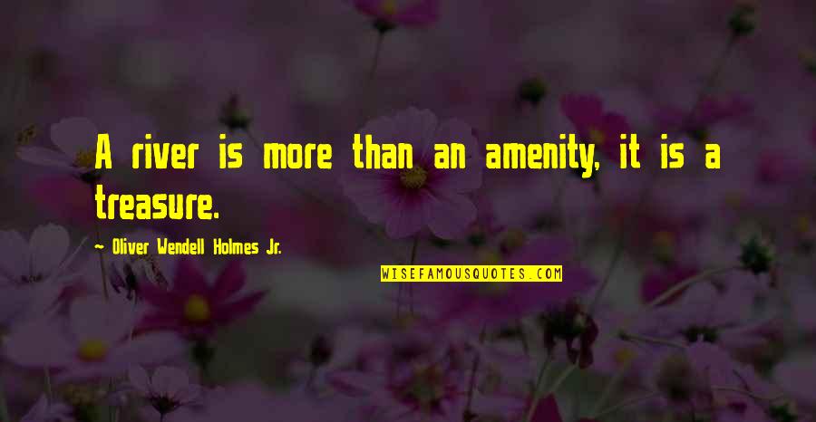 Medelijden Quotes By Oliver Wendell Holmes Jr.: A river is more than an amenity, it