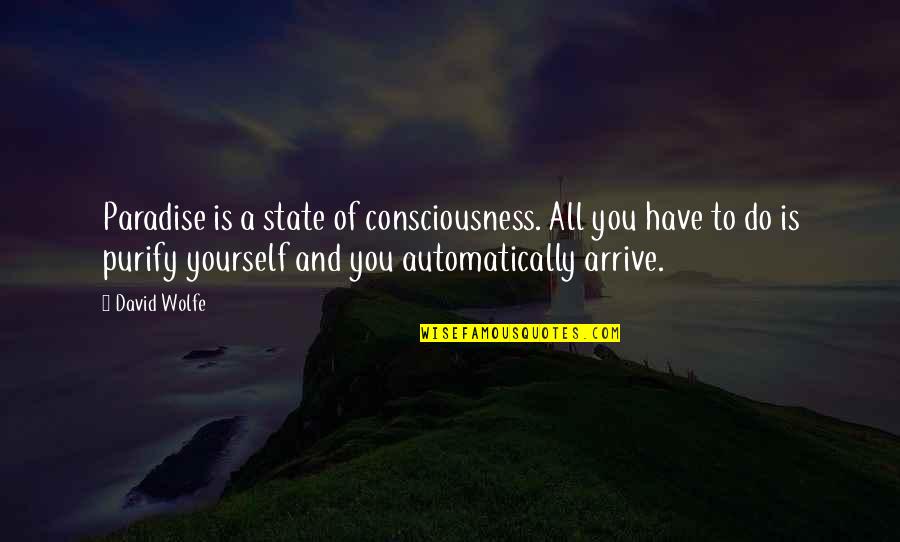 Medialisis Quotes By David Wolfe: Paradise is a state of consciousness. All you Medialisis Quotes By David Wolfe: Paradise is a state of consciousness. All you