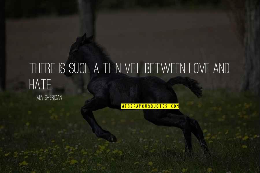 Mediapart Adele Quotes By Mia Sheridan: There is such a thin veil between love