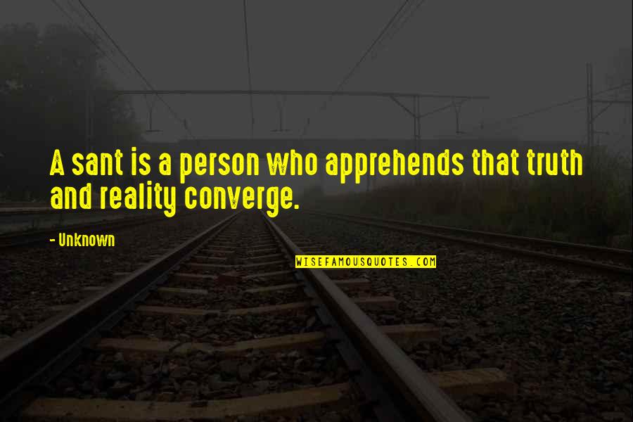 Mediatate Quotes By Unknown: A sant is a person who apprehends that