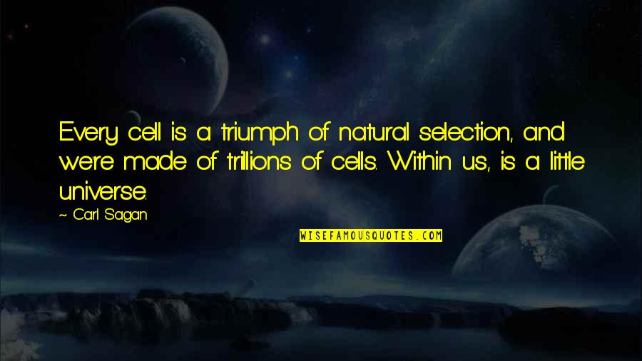 Mediatized Society Quotes By Carl Sagan: Every cell is a triumph of natural selection, Mediatized Society Quotes By Carl Sagan: Every cell is a triumph of natural selection,