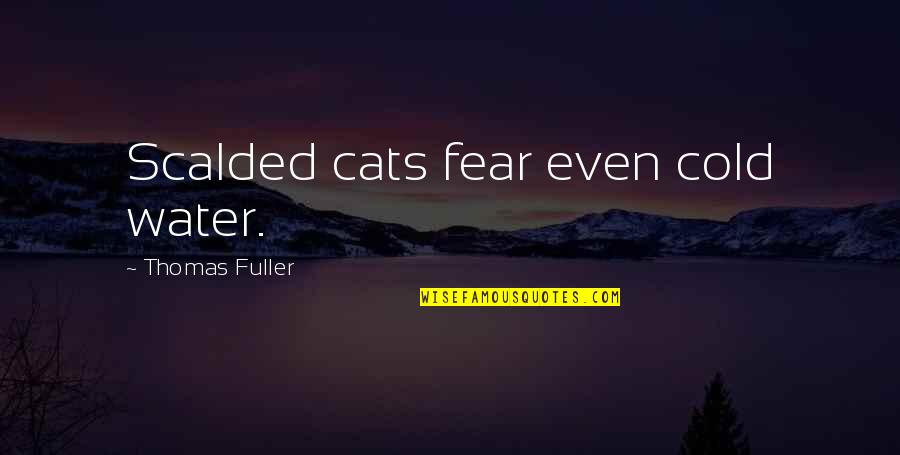 Medical Compliance Quotes By Thomas Fuller: Scalded cats fear even cold water.