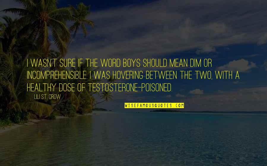 Medical Emergencies Quotes By Lili St. Crow: I wasn't sure if the word boys should Medical Emergencies Quotes By Lili St. Crow: I wasn't sure if the word boys should