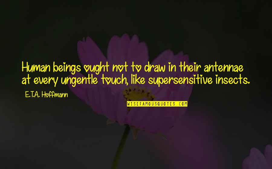 Medina Karim Quotes By E.T.A. Hoffmann: Human beings ought not to draw in their