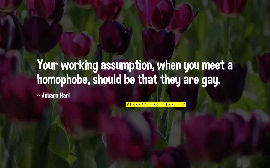 Mediocridad Frases Quotes By Johann Hari: Your working assumption, when you meet a homophobe,