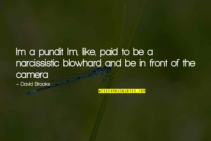 Mediocridade Dicionario Quotes By David Brooks: I'm a pundit. I'm, like, paid to be Mediocridade Dicionario Quotes By David Brooks: I'm a pundit. I'm, like, paid to be