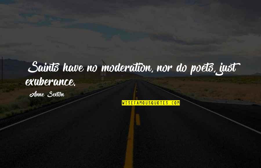 Meditat Quotes By Anne Sexton: Saints have no moderation, nor do poets, just