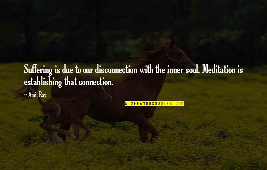 Meditation And Happiness Quotes By Amit Ray: Suffering is due to our disconnection with the