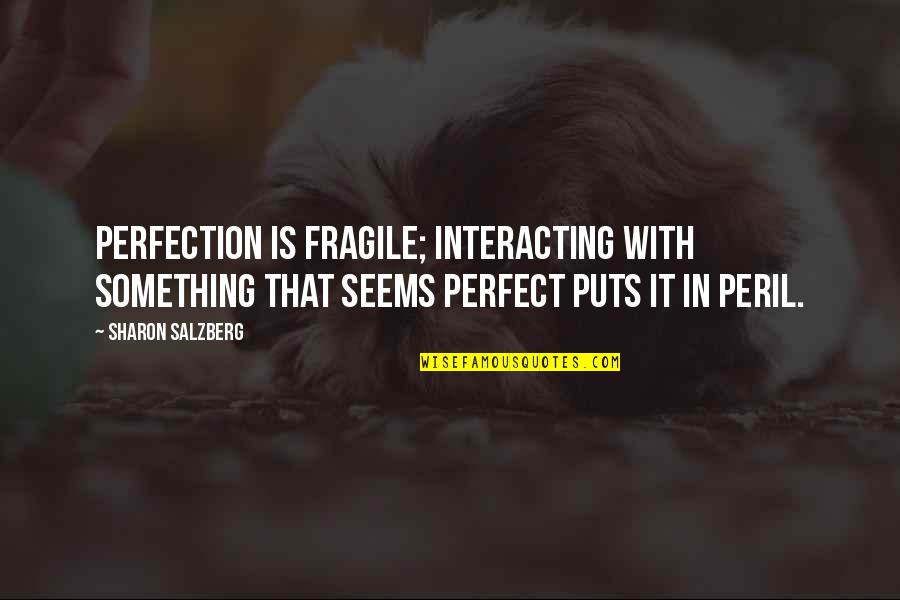 Meditation And Happiness Quotes By Sharon Salzberg: Perfection is fragile; interacting with something that seems