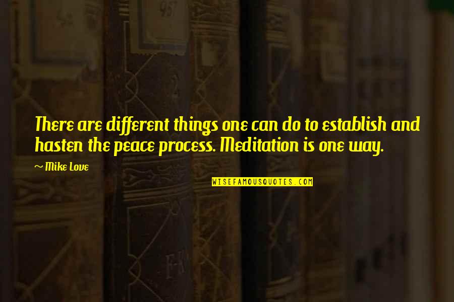 Meditation And Peace Quotes By Mike Love: There are different things one can do to