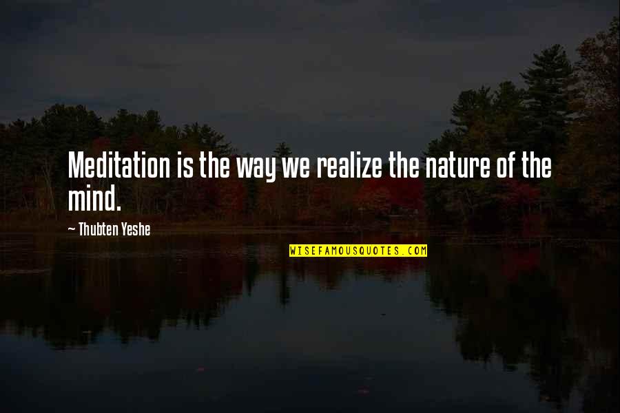Meditation In Nature Quotes By Thubten Yeshe: Meditation is the way we realize the nature