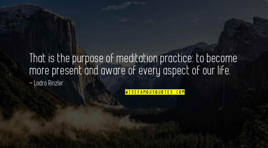 Meditation Life Quotes By Lodro Rinzler: That is the purpose of meditation practice: to