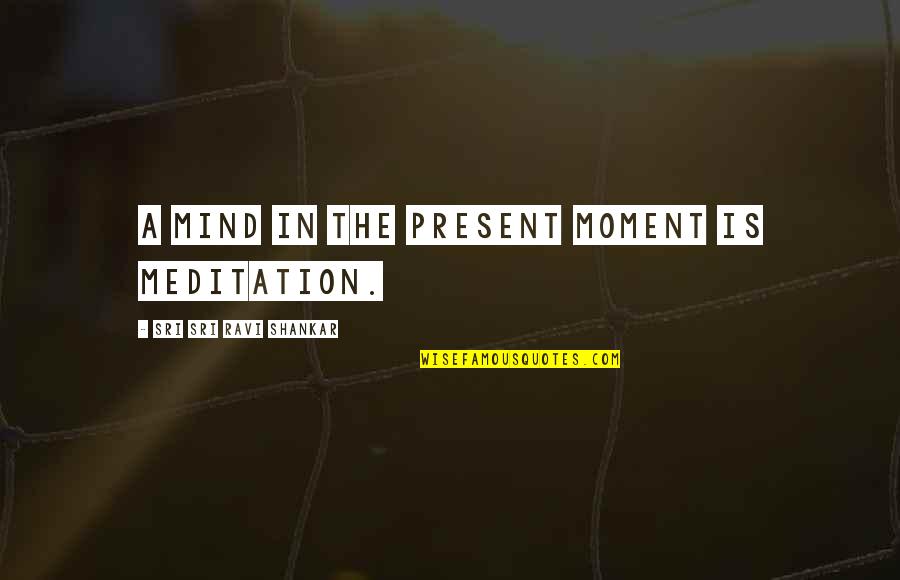 Meditation Moments Quotes By Sri Sri Ravi Shankar: A mind in the present moment is meditation.