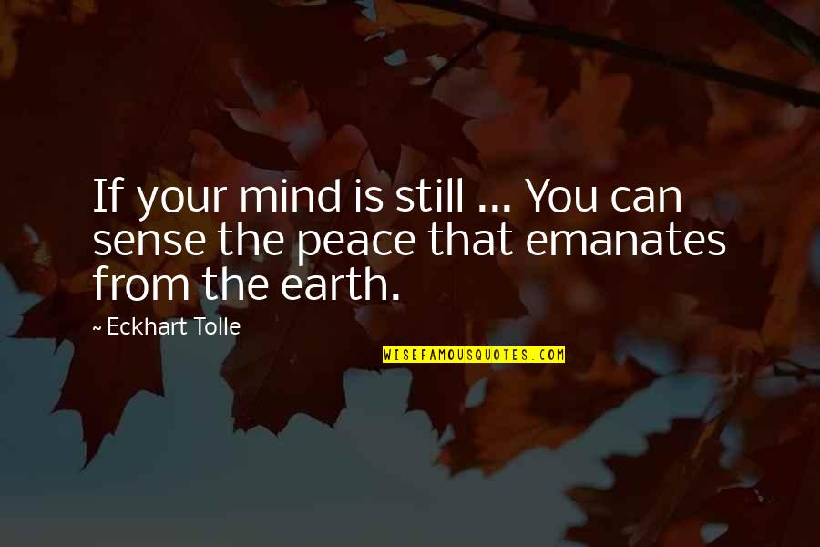 Meditation Peace Quotes By Eckhart Tolle: If your mind is still ... You can