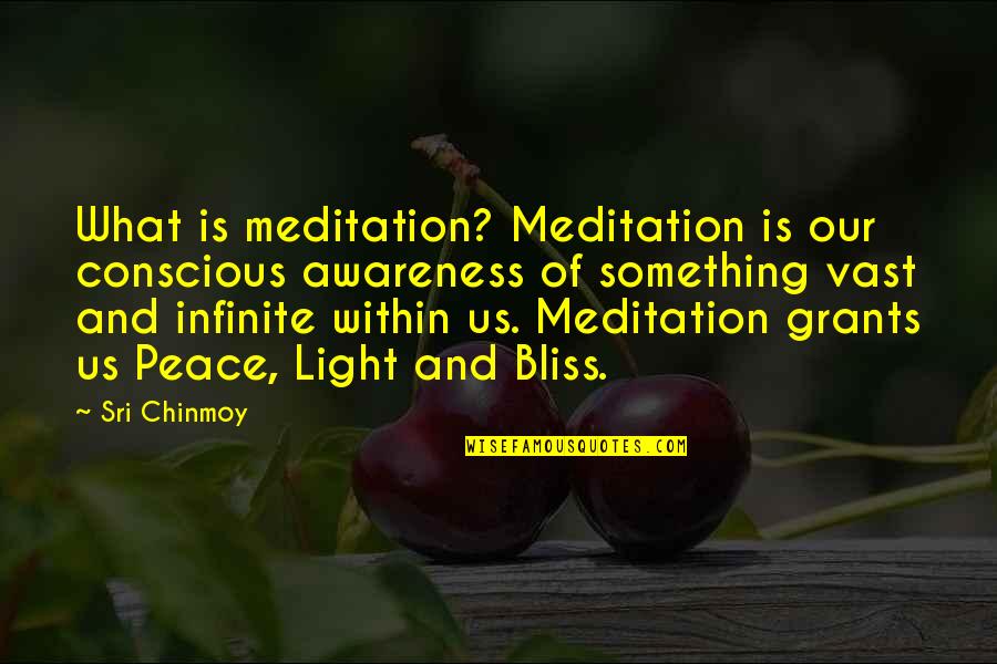 Meditation Peace Quotes By Sri Chinmoy: What is meditation? Meditation is our conscious awareness