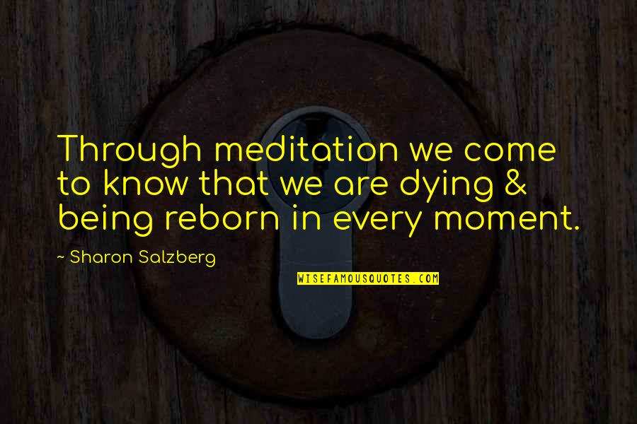 Meditation Quotes By Sharon Salzberg: Through meditation we come to know that we
