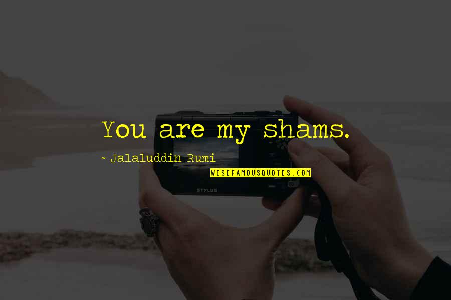 Meditation Recordings Quotes By Jalaluddin Rumi: You are my shams. Meditation Recordings Quotes By Jalaluddin Rumi: You are my shams.