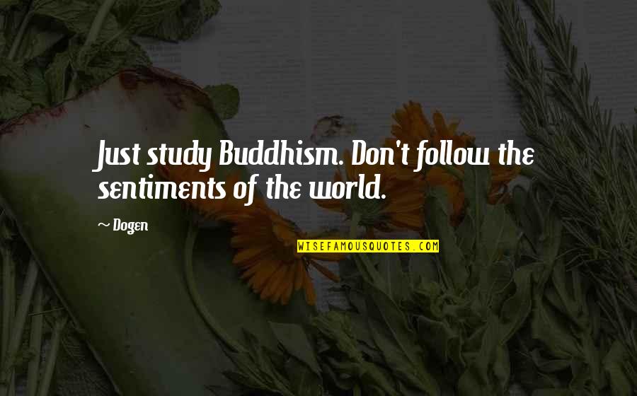 Meditation Teacher Quotes By Dogen: Just study Buddhism. Don't follow the sentiments of